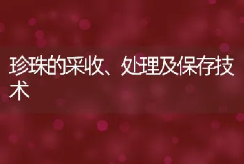 珍珠的采收、处理及保存技术