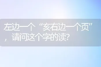 左边一个“亥右边一个页”，请问这个字的读？