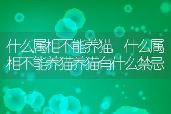 什么属相不能养猫，什么属相不能养猫养猫有什么禁忌