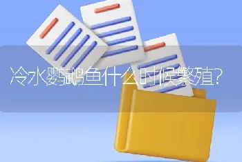 冷水鹦鹉鱼什么时候繁殖？