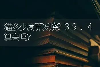 猫多少度算发烧?39.4算高吗？