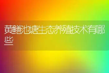 黄鳝池塘生态养殖技术有哪些