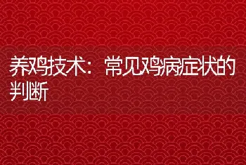 养鸡技术：常见鸡病症状的判断