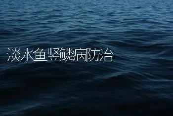 淡水鱼竖鳞病防治