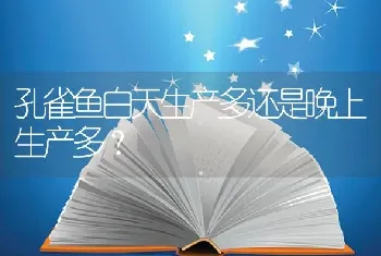 孔雀鱼白天生产多还是晚上生产多？