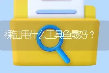 裸缸用什么工具鱼最好？