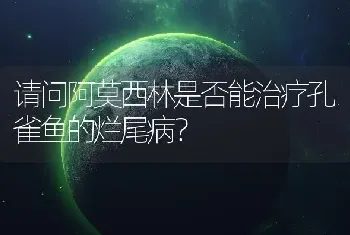 请问阿莫西林是否能治疗孔雀鱼的烂尾病？