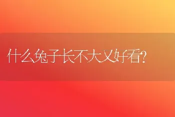 曼基康矮脚母配长脚公能出短腿的猫吗？