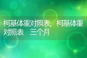 柯基体重对照表，柯基体重对照表 三个月