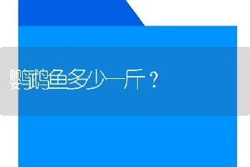 鹦鹉鱼多少一斤？