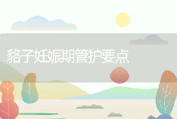 貉子妊娠期管护要点