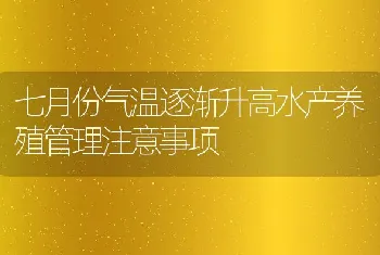 七月份气温逐渐升高水产养殖管理注意事项