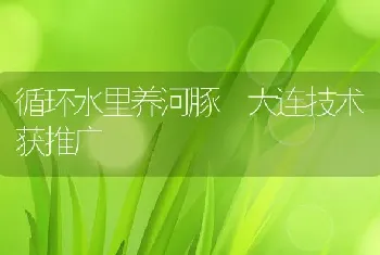 循环水里养河豚 大连技术获推广