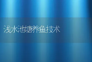 浅水池塘养鱼技术