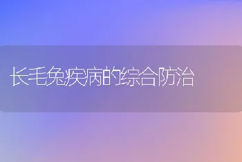 四招提高春季母兔受孕率