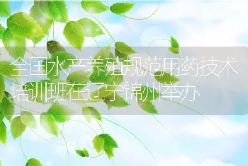 黄鳝日常管理要点