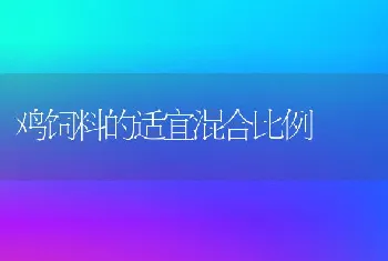 鸡饲料的适宜混合比例