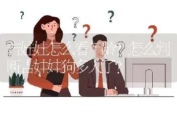 吉娃娃怎么看年龄？怎么判断吉娃娃狗多大了？