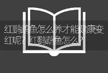 红鹦鹉鱼怎么养才能健康变红呢？红鹦鹉鱼怎么？