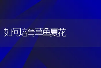 水产饲料中鱼粉的替代物