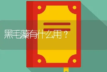 黑毛藻有什么用？