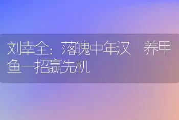 刘幸全：落魄中年汉 养甲鱼一招赢先机