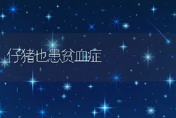 工厂化井盐水养殖大菱鲆常见病害及其防治