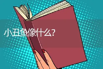 小丑鱼像什么？