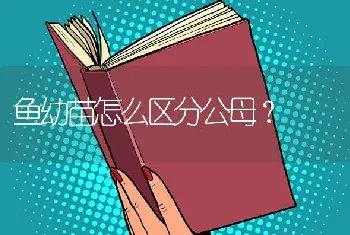 鱼幼苗怎么区分公母？