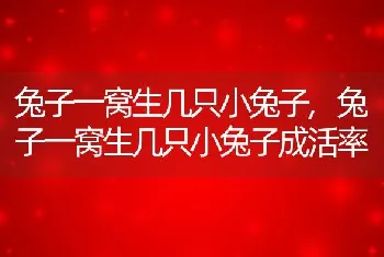 兔子一窝生几只小兔子，兔子一窝生几只小兔子成活率