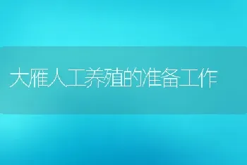 大雁人工养殖的准备工作