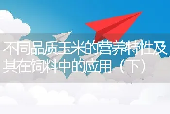 不同品质玉米的营养特性及其在饲料中的应用（下）