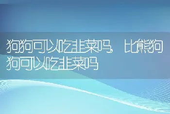 狗狗可以吃韭菜吗，比熊狗狗可以吃韭菜吗