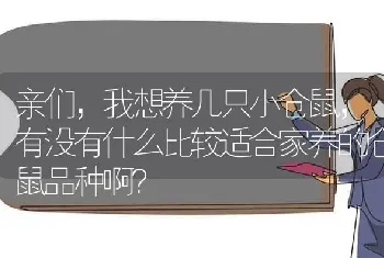 亲们，我想养几只小仓鼠，有没有什么比较适合家养的仓鼠品种啊？