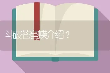 斗破苍穹蝶介绍？