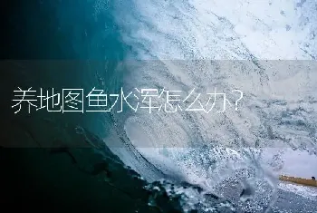 养地图鱼水浑怎么办？