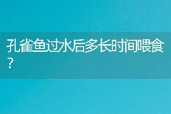 孔雀鱼过水后多长时间喂食？