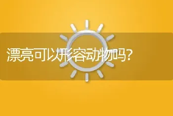 漂亮可以形容动物吗？