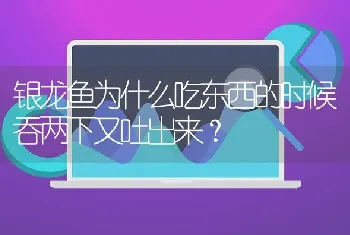 银龙鱼为什么吃东西的时候吞两下又吐出来？