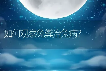 如何观察兔粪治兔病？