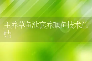 主养草鱼池套养鳜鱼技术总结