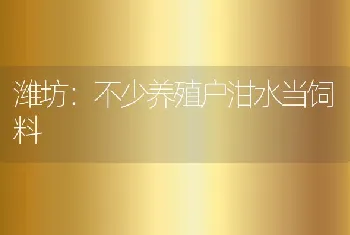 潍坊：不少养殖户泔水当饲料