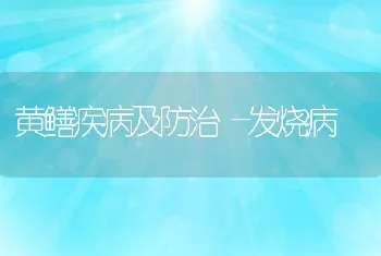 黄鳝疾病及防治―发烧病