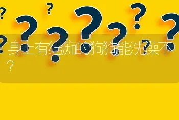 身上有结痂的狗狗能洗澡不？