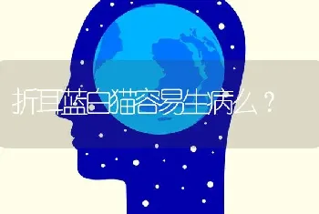 折耳蓝白猫容易生病么？