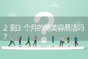 2到3个月的博美容易活吗？