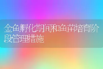 金鱼孵化期间和鱼苗培育阶段管理措施