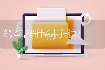 金鱼为什么总在水面喝水~~？