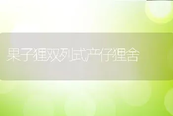 果子狸双列式产仔狸舍