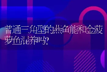 普通三角型的燕鱼能和金菠萝鱼混养吗？